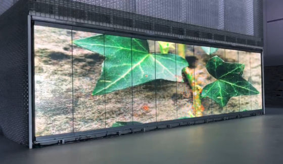 Goede prijs P20 Doorzichtig LED-scherm Slank voor tentoonstellingen Evenementen Gasvrijheid online